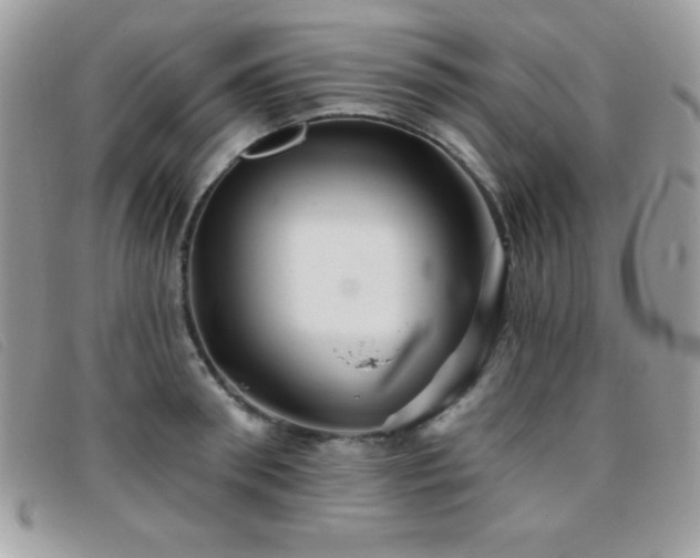 X0000095880898200801111131