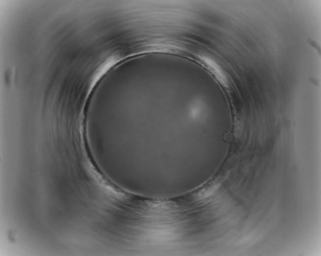 X0000095880899200801111131