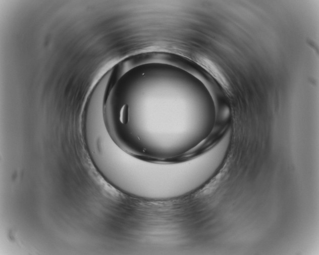 X0000095880900200801111130