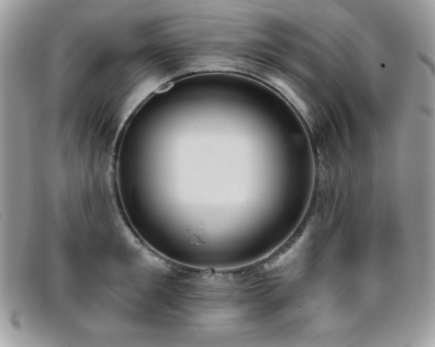 X0000095880901200801111130