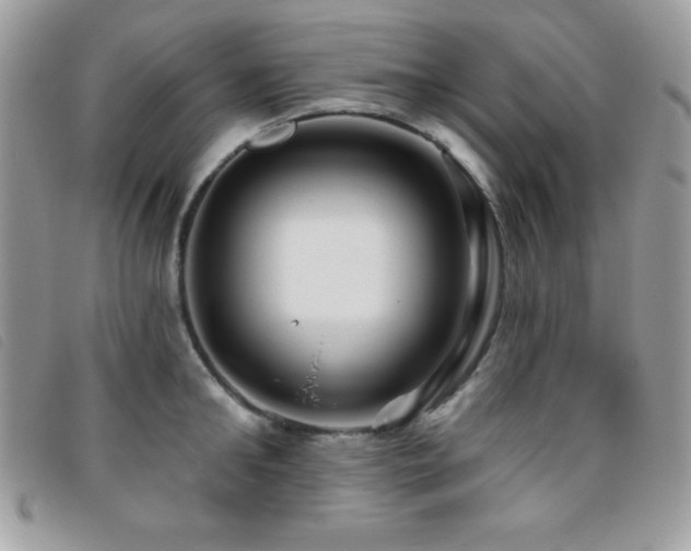 X0000095880902200801111130
