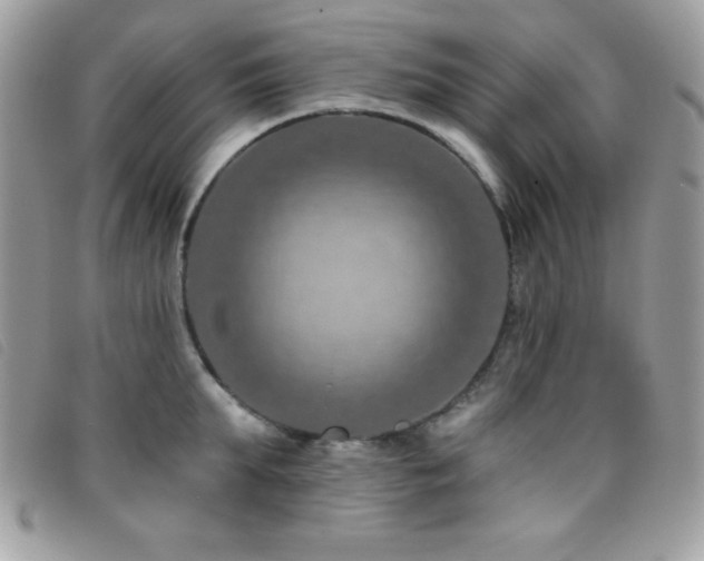 X0000095880903200801111130