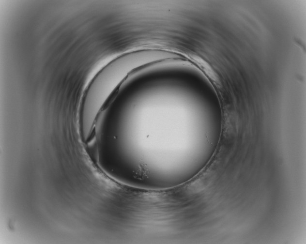 X0000095880904200801111130
