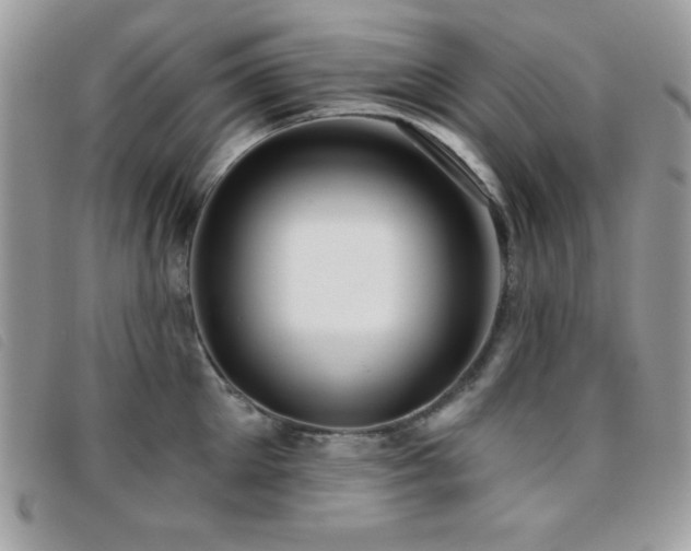 X0000095880905200801111130