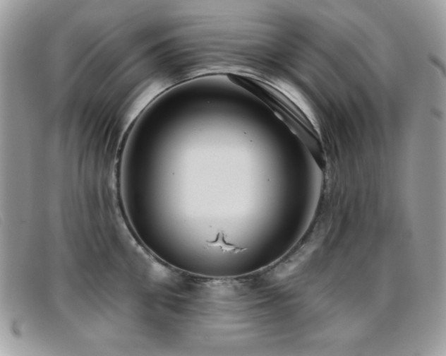 X0000095880906200801111130
