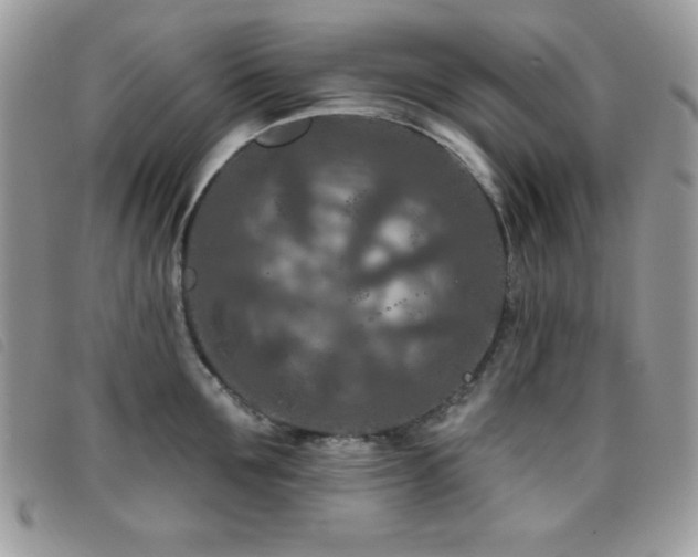 X0000095880907200801111130