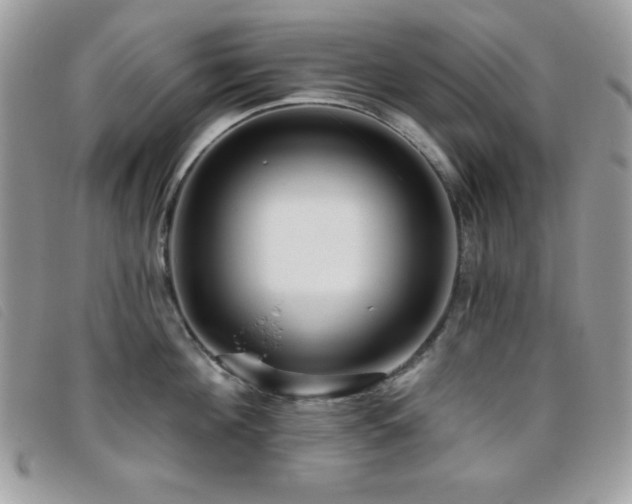 X0000095880908200801111130