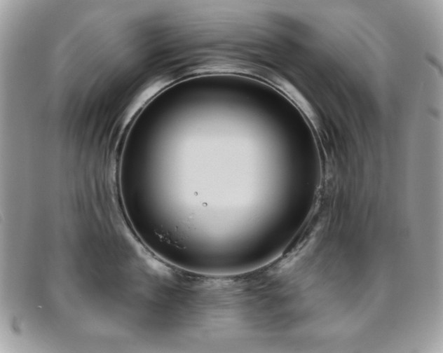 X0000095880909200801111130