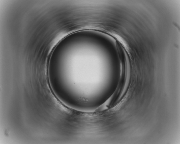 X0000095880910200801111130