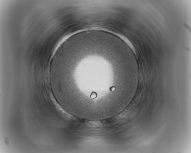 X0000095880911200801111130