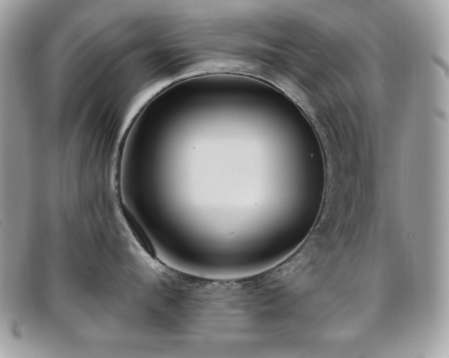 X0000095880912200801111130