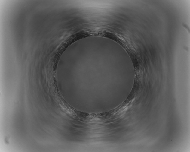 X0000095880913200801111130