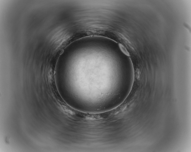 X0000095880915200801111130