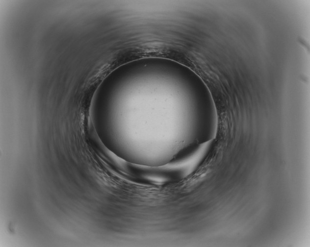 X0000095880916200801111130