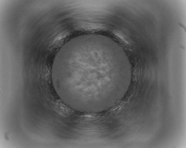 X0000095880917200801111130