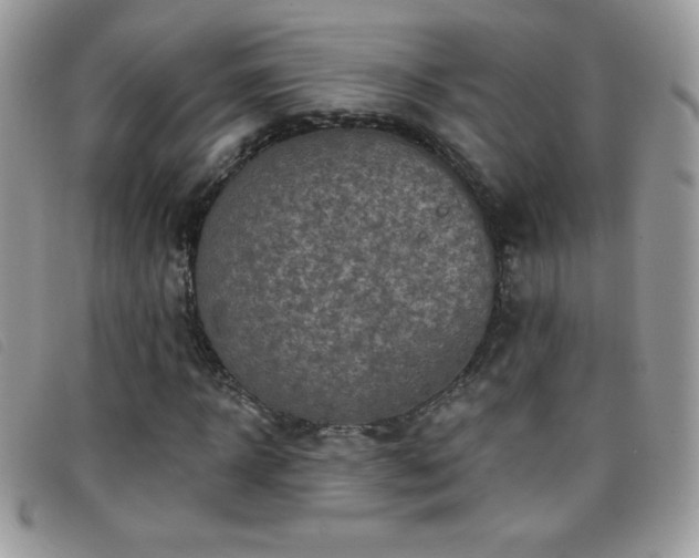 X0000095880918200801111130