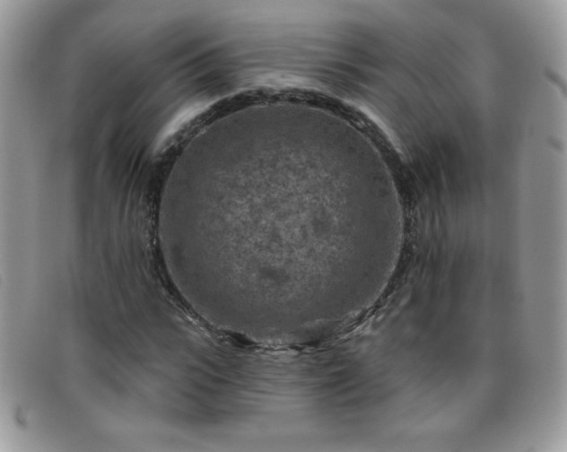 X0000095880919200801111130