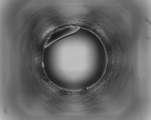 X0000095880920200801111130