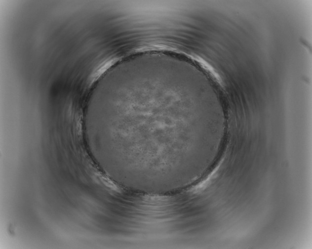 X0000095880921200801111130