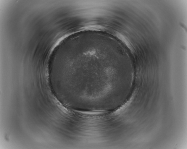 X0000095880923200801111130