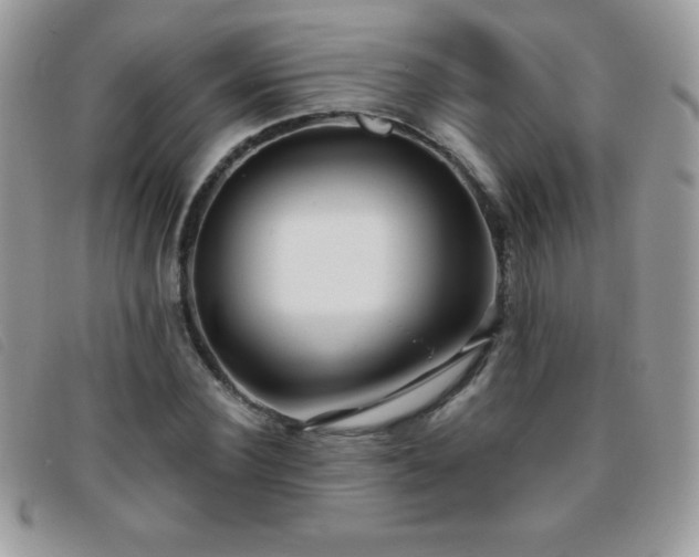 X0000095880924200801111130