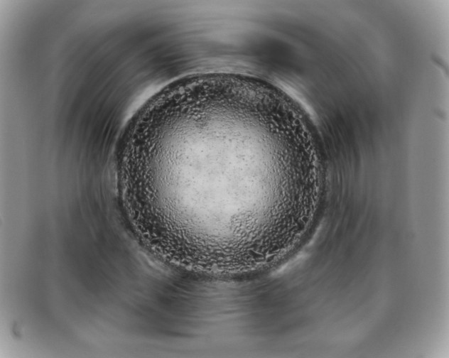 X0000095880925200801111130