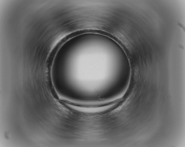 X0000095880926200801111130