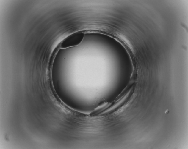 X0000095880928200801111130