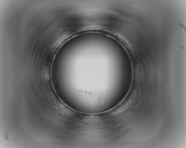 X0000095880929200801111130