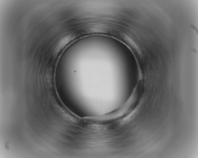 X0000095880930200801111130