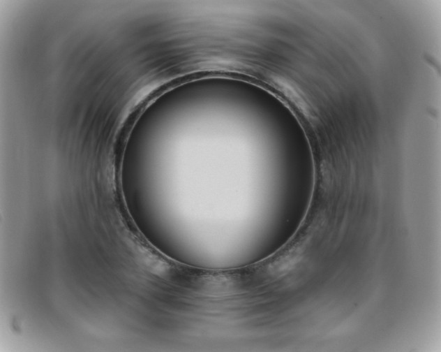 X0000095880931200801111130