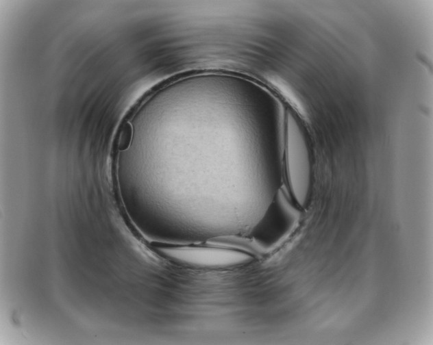 X0000095880932200801111130