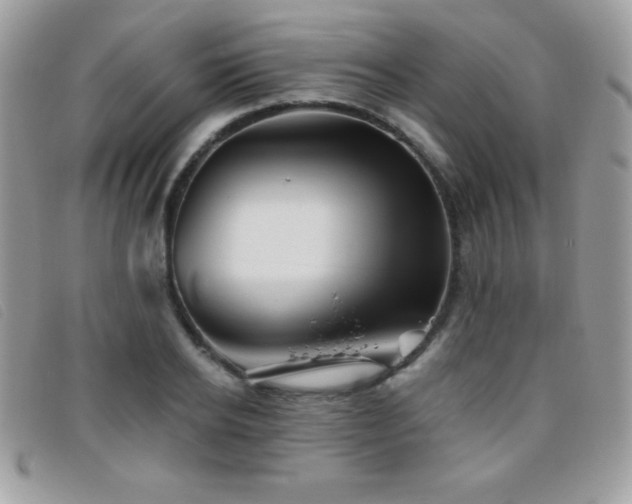 X0000095880934200801111130