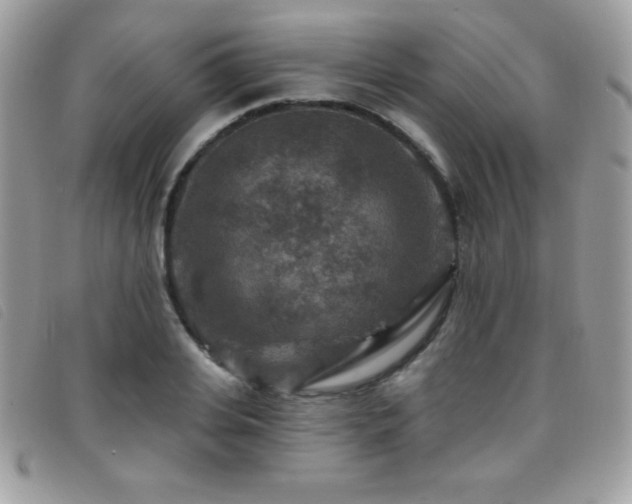 X0000095880935200801111130