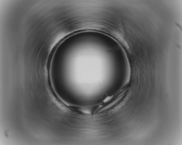 X0000095880936200801111130