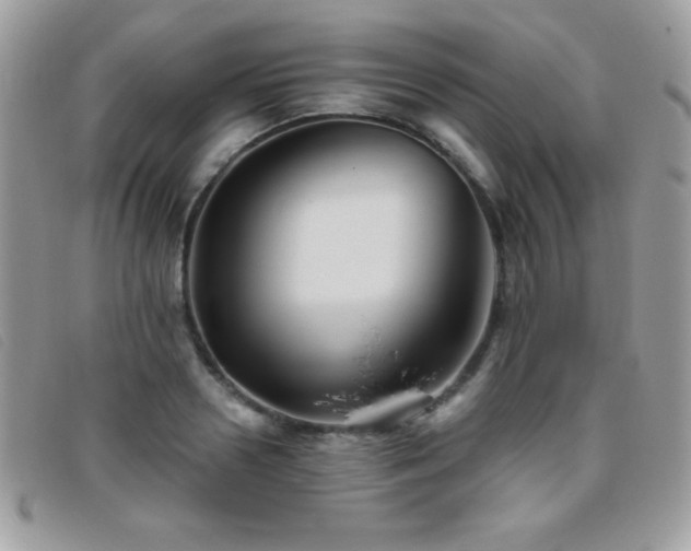 X0000095880938200801111130