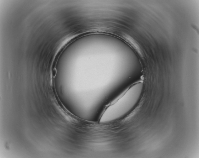X0000095880940200801111130
