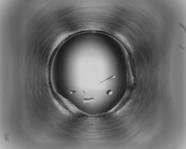 X0000095880942200801111130