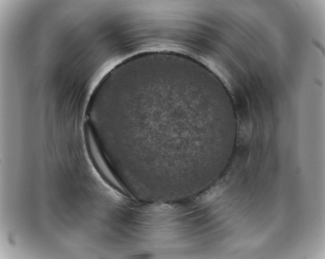 X0000095880943200801111130