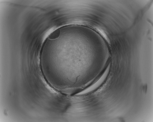 X0000095880944200801111130