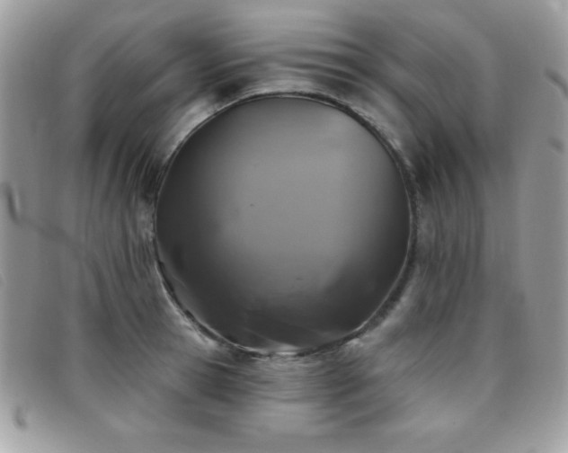 X0000095880945200801111130