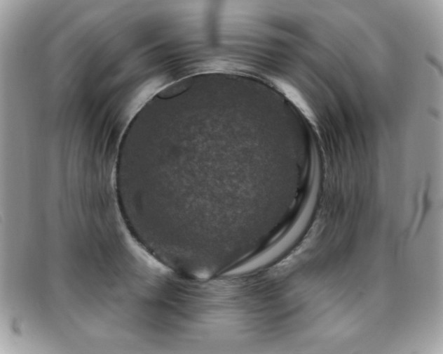 X0000095880946200801111130