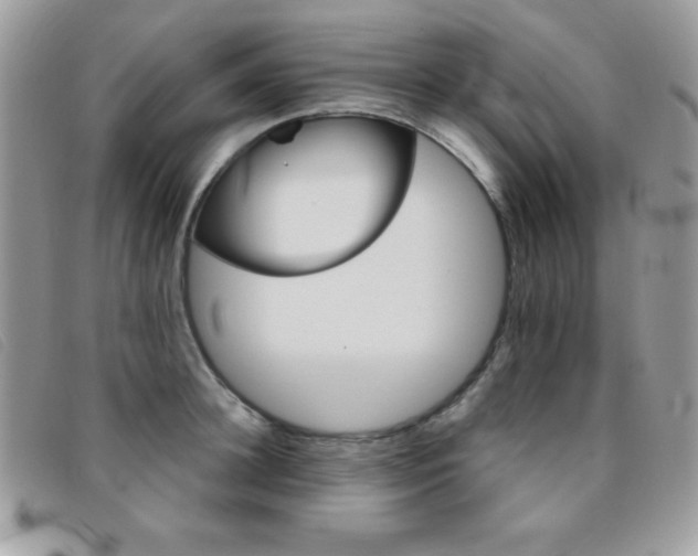 X0000095880948200801111130