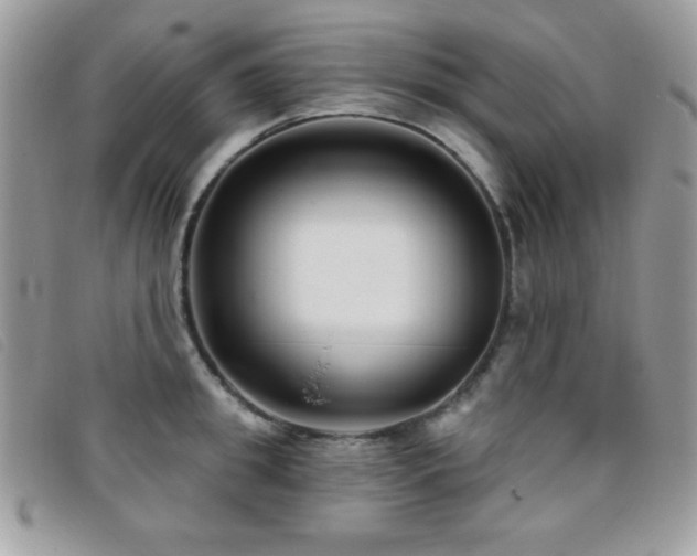 X0000095880949200801111130
