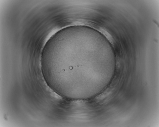 X0000095880950200801111130