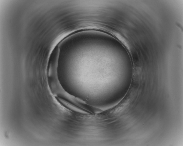 X0000095880951200801111130