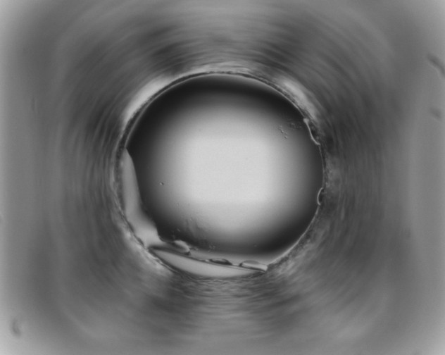 X0000095880952200801111130
