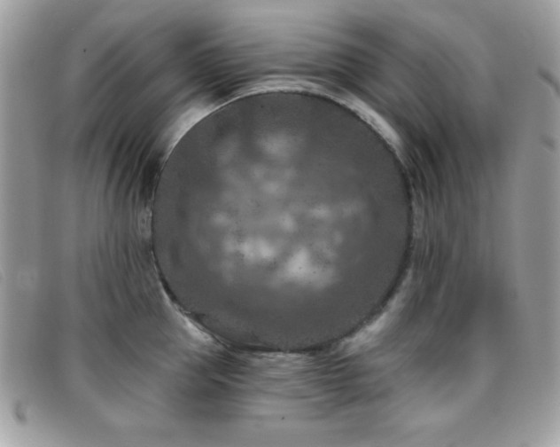 X0000095880953200801111130