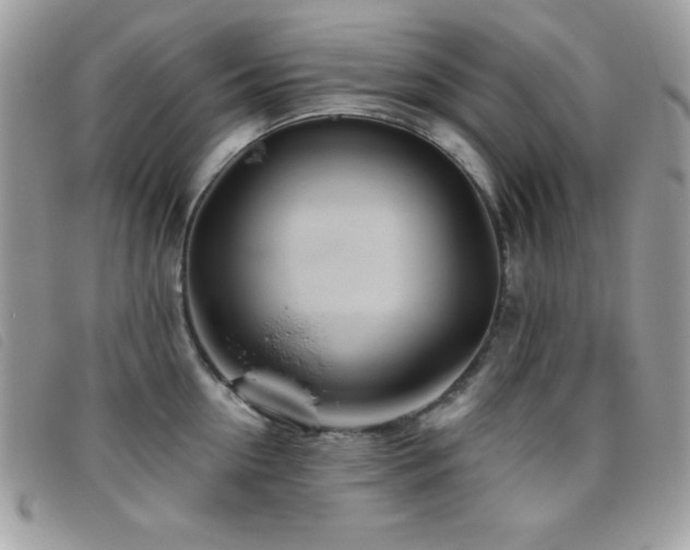 X0000095880954200801111130