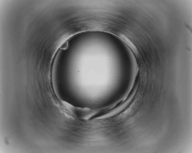 X0000095880956200801111130